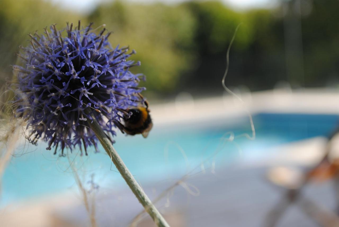 Eco-Gite - Domaine De La Gavolerie Besse-sur-Braye ภายนอก รูปภาพ