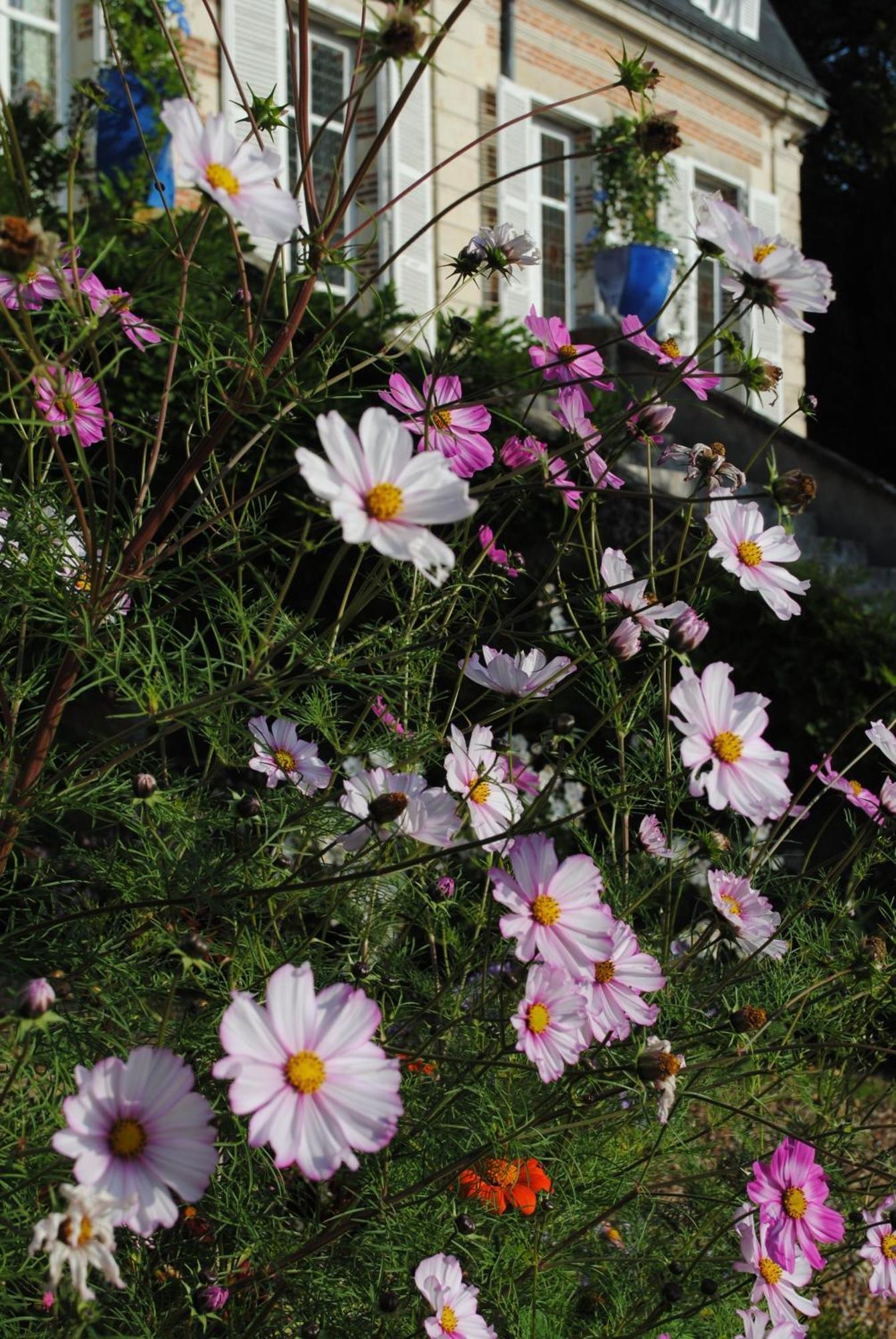 Eco-Gite - Domaine De La Gavolerie Besse-sur-Braye ภายนอก รูปภาพ